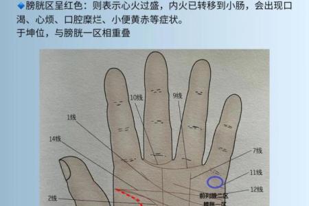 掌纹解析：你的手掌告诉你命运的秘密