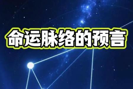 命运的脉络：解读“命”字的深邃含义与词语探秘