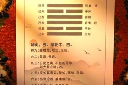火龙之命：燃烧人生的激情与创造力的象征