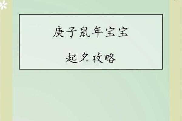 细说鼠年8月宝宝命理，揭示未来无限可能