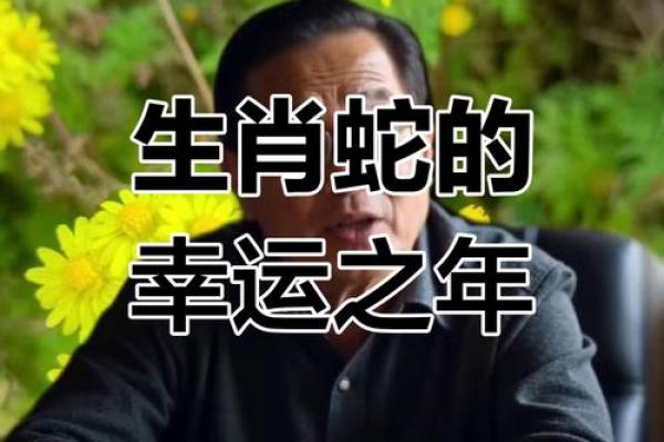 生肖蛇的男人命运解析：智慧与运势共舞的人生篇章