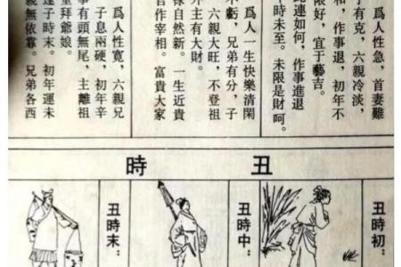 1979年乙亥年命运探秘：揭开命理的神秘面纱