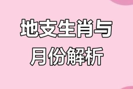 揭秘各属相的命运密码，了解你的生肖命理！