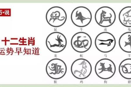 木命与属相的最佳搭配：你不可不知的和谐关系