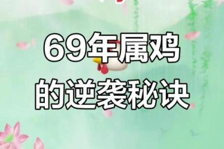 火命属鸡的人生挑战与应对策略分析