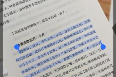 脾气倔的人命运解析：为何坚持与柔韧并行？