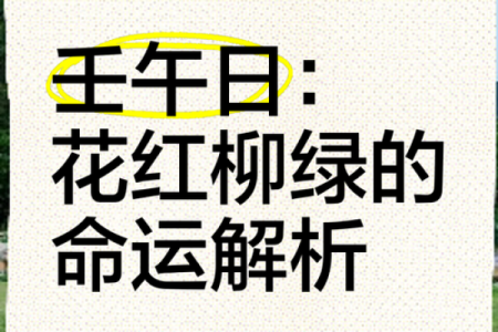 壬午日生人的命运解析与人生指南，探索月光下的命理智慧
