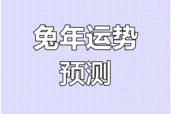2011年：兔年的命运与运势解析，探索兔子与生活的深厚联系！