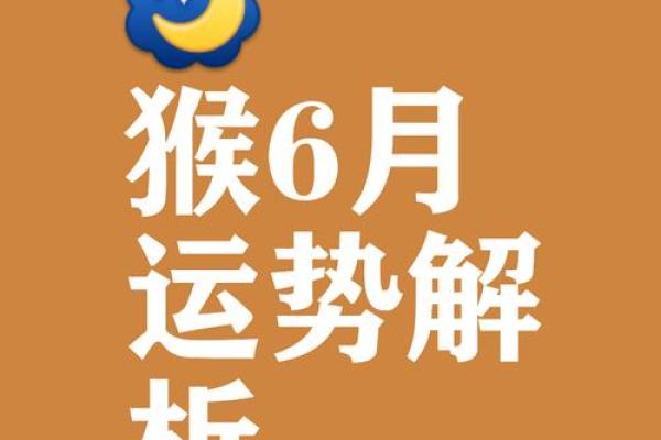 水猴命的性格与颜色搭配，助你运势更佳！
