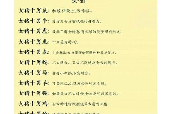 状元命是什么生肖？探秘生肖与成功的关系