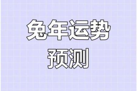 2011年：兔年的命运与运势解析，探索兔子与生活的深厚联系！