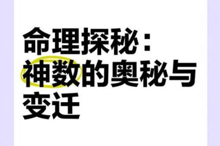 探秘63年出生女命的命理与人生之路