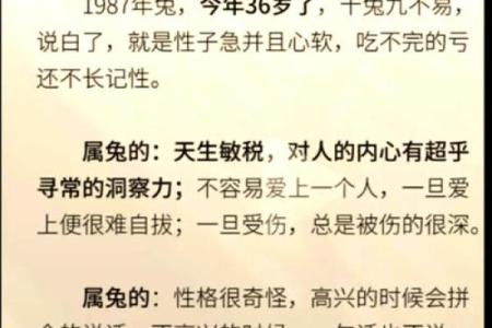 兔年生人：1986年属兔的命运与性格解析