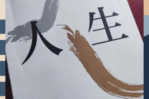 人生的选择与命运：如何掌握自己的未来