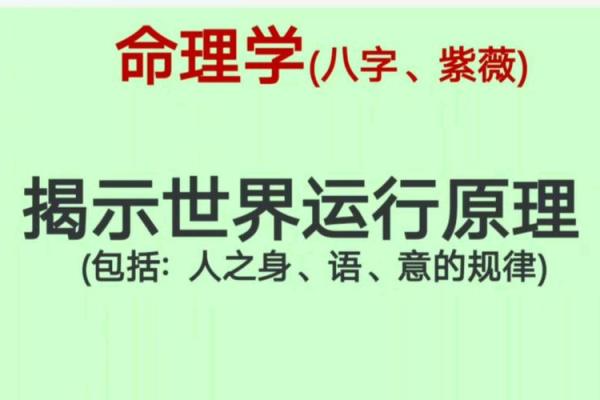 2004年是什么命？从命理角度解析人生规律与追梦之路