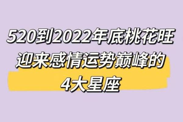 没有桃花的人命运解析：孤独与成长的另一种美丽