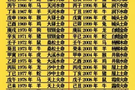 最佳木材：水命之人需要的木头选择与运用