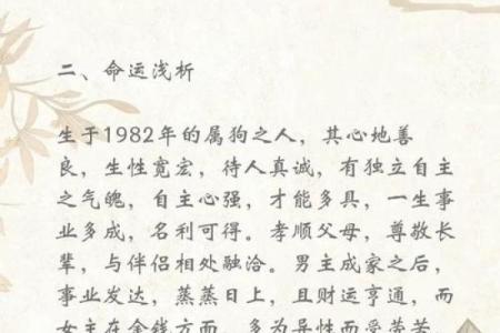 2019年狗年运势解析：解读属狗人的命运与生活有何变化
