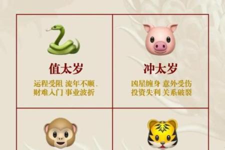 1984年属猪的人命格解析：解析性格与运势的秘密