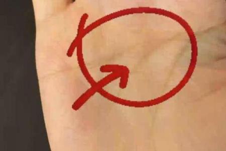 女人有断掌纹，命运如何？解密女性手相的神秘力量