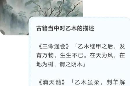 揭示你的命理密码：通过占卜测试探索你的命运之旅！