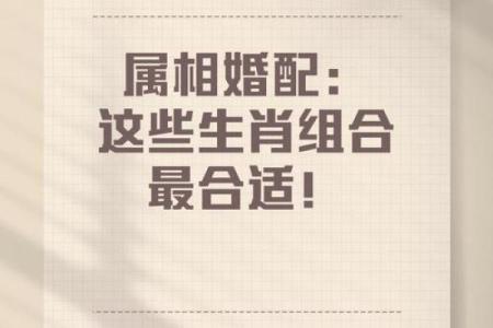 杨柳木命的生肖配对：与哪些生肖最为相合？