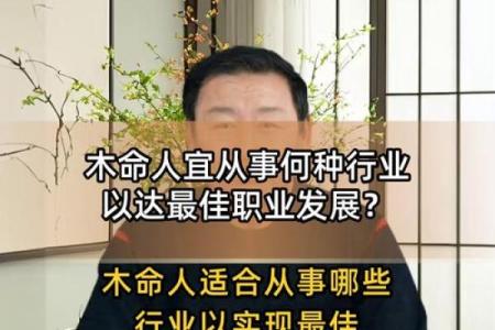 木命的人适合哪些行业与职业？深度解析与指导