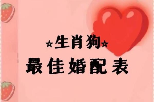 属狗土命结婚须谨慎，哪些生肖需避讳？