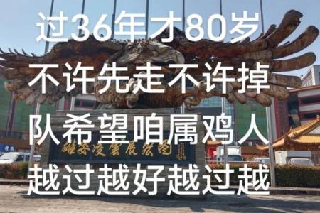 81年属鸡的人命运解析与生活指南