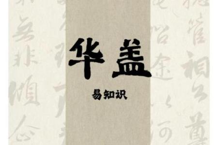 华盖的深刻含义与影响探究