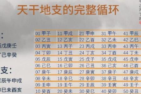 揭秘虚岁55岁属什么命，五行八字解析你的人生轨迹！