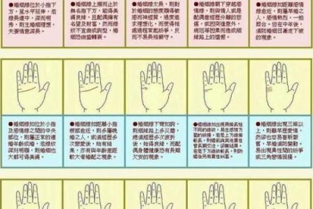 女人的正宫女命：揭开命理背后的神秘面纱