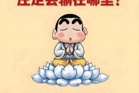 乞吃嘴皇帝的命：生肖与生活的奇妙连接