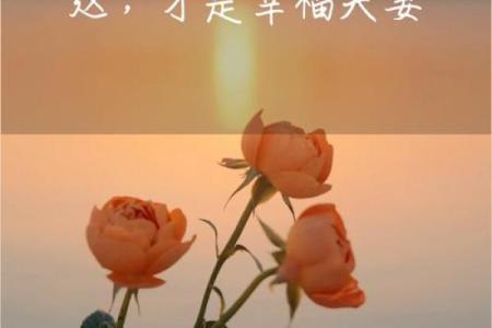 1959年属猪人命运解析：智慧与热情的人生旅程