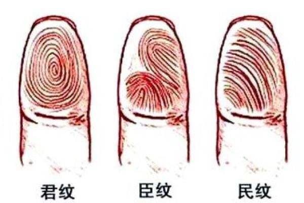 手指背面没有纹路，揭秘你的命运与性格密码！