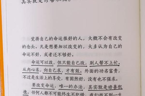 命运交错：解读《一命抵一命》的深意与情感纠葛