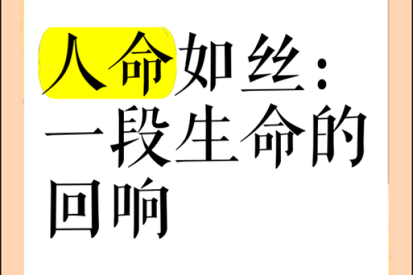 一命抵一命：探讨生命的价值与人际关系的复杂性