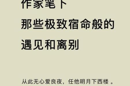 命运交错：解读《一命抵一命》的深意与情感纠葛