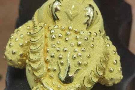 龙年木命者如何选择招财饰品，助你财运亨通！