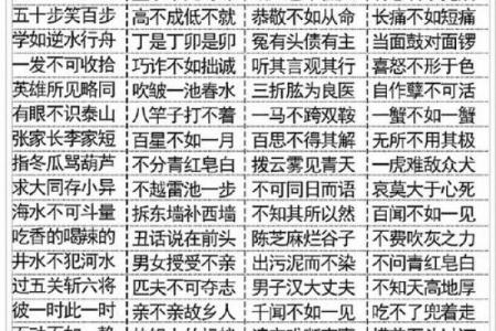 命字的魅力：揭示人生与成语的智慧之道