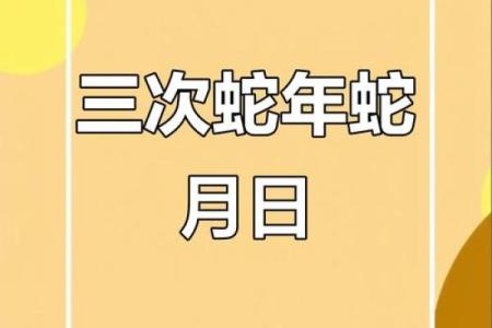 看蛇年生人的命运与特点，解密蛇的奥秘与魅力