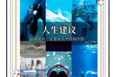 乘船出海与命格：探秘海洋的神秘力量