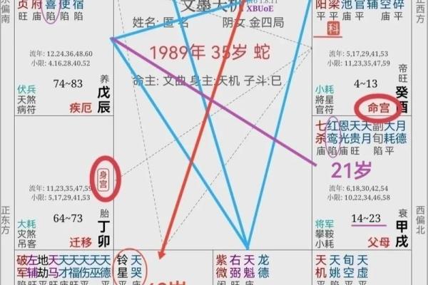 《雷神三命与六命:命理之中暗藏的玄机》 《雷神三命与六命:命理之中暗藏的玄机》