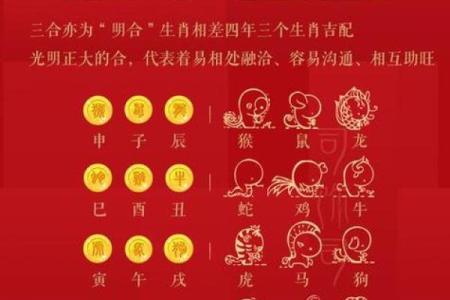 揭秘女马配属相：最坏命的生肖解析！