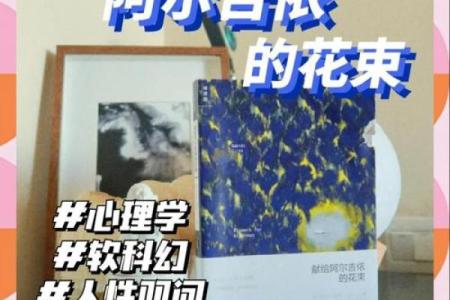 31岁那年出生的命运解析：揭秘你的生命之旅