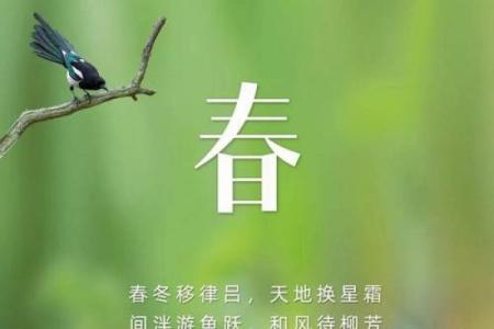 立春生孩：探究春季出生孩子的命理与运势