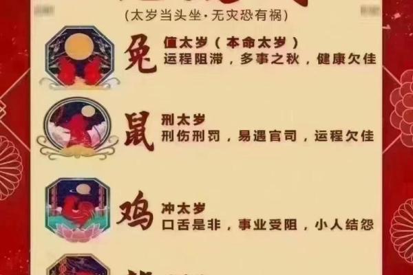 走出虎年，解读兔年命运：从生肖看你的2023之路如何蜕变