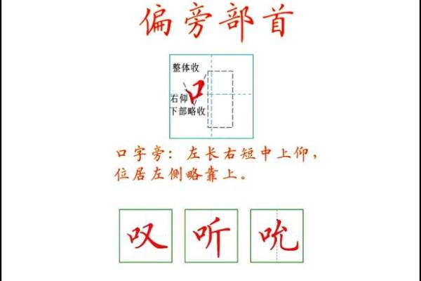 生命的命:探寻结构与偏旁的奥秘之旅 生命的命:探寻结构与偏旁的奥秘之旅