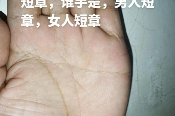 双手断掌男人：掌握命运的奥秘与人生解析