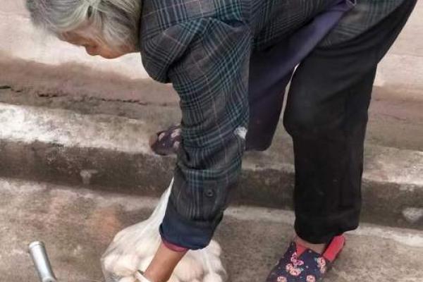 奶奶在男命中的象征意义与生活启示